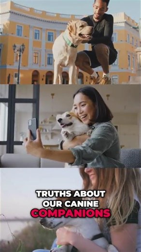 Unlock Dog Secrets: Amazing Instincts & Bond You Need to Know! #shorts