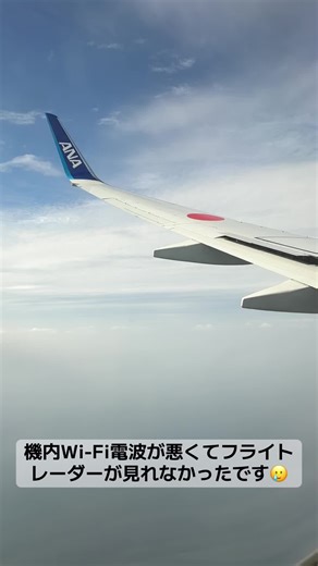 福岡空港へ向けて最終着陸態勢の動画です。音声は生音のみです#福岡空港着陸#福岡カーブ#ana #飛行機好きな人へ #飛行機好きの方と繋がりたい