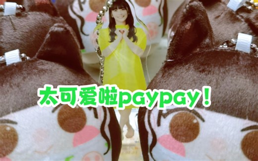 看我发现了什么可爱的小东西！！pay团到啦！！