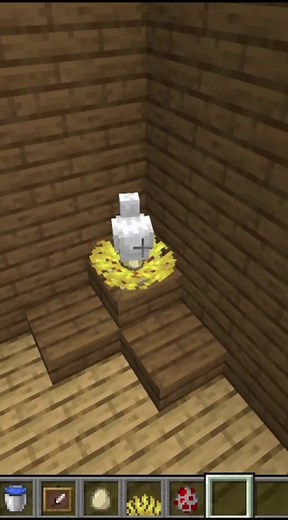 Build Your Ultimate Chicken Farm in Minecraft