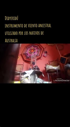 Didyeridú: El Instrumento de Viento Ancestral de Australia