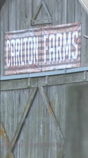 Paulding County 6-year-old died on field trip after being found unresponsive in pool