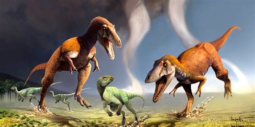 'Insipid nonsense': Creationists battle over the existence of dinosaurs