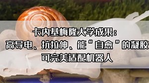 卡内基梅隆大学研究成果：一种高导电、抗拉伸、能“自愈”的凝胶 可完美适配机器人