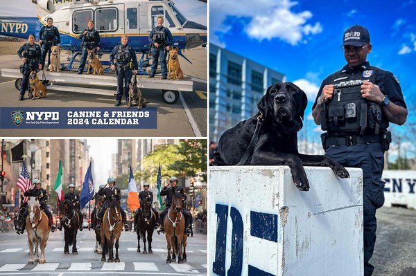 Ruff year: Four-legged NYPD crime fighters grace annual calendar