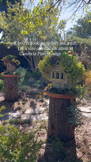 If you’re looking to buy me a gift, I’m a size coastal vacation at Cambria Pines Lodge 🌊✨ Think cozy rooms, garden strolls, peaceful mornings, and that laid-back Cambria charm. Honestly, it’s the perfect fit. Link in bio to book a stay! #CambriaPinesLodge #CoastalGetaway #VisitCambria #CentralCoastCalifornia #CozyGetaway #TravelGift | Cambria Pines Lodge