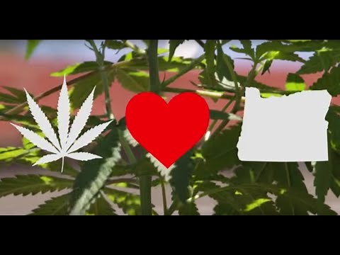 Should I grow marijuana indoors or outdoors? | 'Growing Grass' (Part 1)