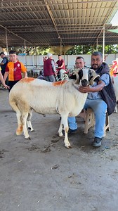 Manken 🧿 | Nuri Saltan