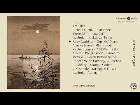 Chill Neo-Soul/Jazz instrumentals for sleepless nights | a jazztronica playlist