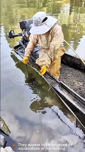 This AMAZING shellfish HARVESTER pulls TONS of mussels from the water by hand. 🎣 🛶