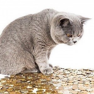 「2010年宇宙の旅」の解説その２