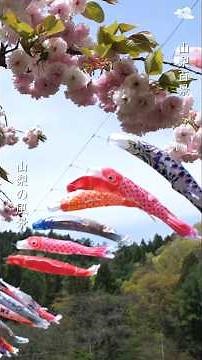 【空を泳ぐ②】400匹の鯉のぼり｜道の駅南きよさと「長沢鯉のぼり祭り」2026｜400 carp streamers