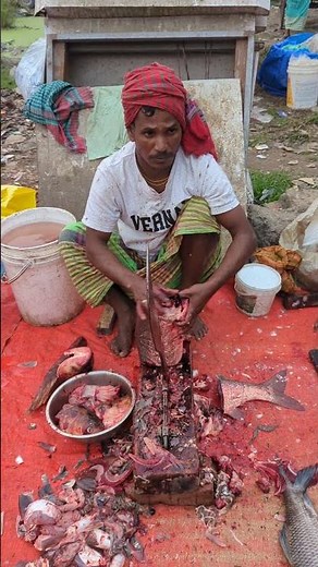 Amazing Big Bighead Fish Super First Cutting #fish #fishcutting #youtubeshorts #fishcutting_skills