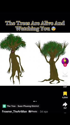 Woodland National Park Analog Horror