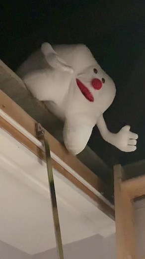 Essential Dental Care Tips for Healthy Teeth