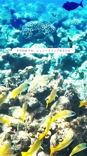 モルディブ旅行まとめ⑤ – Maldives Vlog