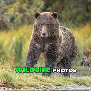 10K views · 1.8K reactions |  Stop Letting Camera Settings Ruin Your...