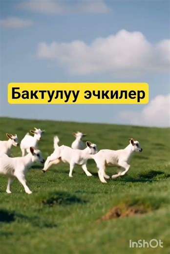 19 апреля 2026 г.