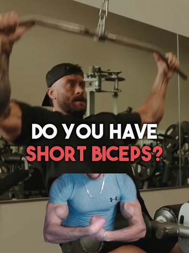 Understanding Muscle Shape and Genetics in Bodybuilding