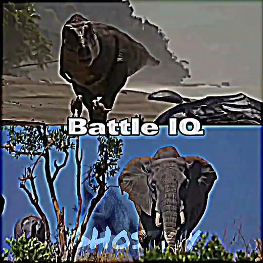 Tyrannosaurus Rex vs African Elephant