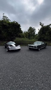 5.3K views · 104 reactions | FOR SALE: 1-800-562-7815 |...