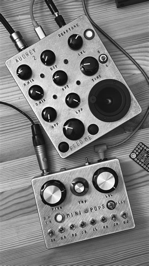 Antоn Nota / Deaftone Audio on Instagram: "Audrey as a resonator/comb filter and FX processor. Apparently if you add an input to Audrey it becomes an awesome processor even without feedback oscillation. The Feedback param starts feeding back once the knob passing the middle position, giving you a great range to work in a comb filter/karplus strong territory. On top of that everything runs through it beautiful Delay and Reverb effects. And when you start mixing feedback to it… well the sky starts