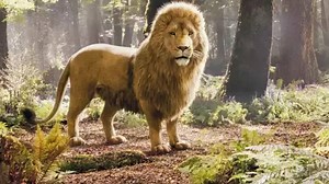 Wait, Greta Gerwig's Narnia Remake Plan For Aslan Might Top The Movies' Liam Neeson Casting After All