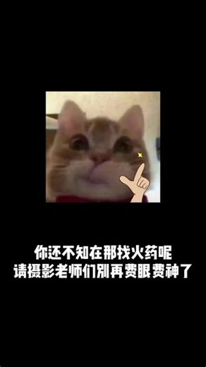 兄弟，时代变了！！！ #摄影师后期 #vscode #codex #AI筛图 #摄影后期