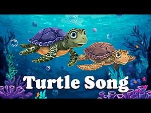 🐢Turtle Song 🐢 | Animal Song Series Ep. 9 | Kids Song