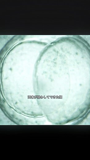 遺伝子で選ばれた30人の子供たち――宇宙の密室で何かが目覚め始めた#映画解説 #映画