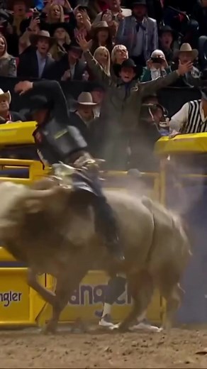 Ky Hamilton said its time to Cowboy Up! In under 24 hours, he took a fall in Round 5 and came back to ride Round 6 and win Round 7! #historicmoment #nfr #prorodeo #cowboyup #aussiethings #rodeotok #hype #dontcallitacomeback