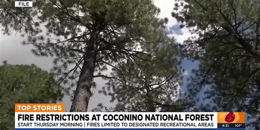 Coconino National Forest to start first phase of fire restrictions