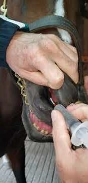 3rd Nasolabial Duct Washing #RodrigueraTechnique Chronic Conjunctivitis INH La Rinconada Ccs