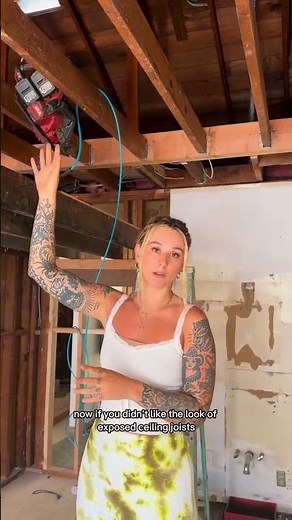 Vaulting your ceiling is dollar for dollar THE most dramatic change you can make to your house to