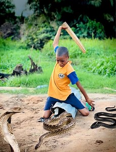 Worst nightmare for a 10years old boy who k!lled a python snake😱 | Vikesh