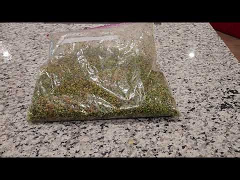 Insparation for a Healthier World