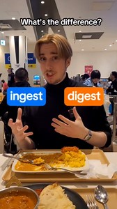Understanding ingest vs digest: A quick English lesson