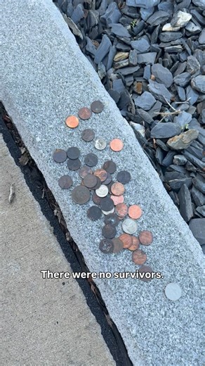 Ashlee Sullivan | Military Spouse Creator on Instagram: "Most people drive past this field of sugar maple trees and don’t realize they’re passing a living memorial to one of Fort Campbell’s most heartbreaking losses. On this day in history, December 12, 1985, Arrow Air Flight 1285R crashed just after takeoff in Gander, Newfoundland, killing 248 Soldiers (most from the 101st Airborne Division) and 8 crew members. There were no survivors🖤 They were returning home to Fort Campbell after a six-mont