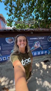 I spent a few days at Scuba Junkie Mabul and their SEAS project, and it was truly inspiring to spend time with a team so committed to protecting the waters they call home 🐠 From their turtle rehabilitation centre and hatchery, community program, coral restoration projects and more; the team and the projects they’re breathing life into are living proof that conservation and tourism can have a future alongside each other 🫧🪸🤿 Ambassadiver: @ind.i.bb Eco Center: @scuba_junkie #PADIEcoCenter | PA