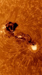 X4.2 Solar Flare Today! Giant Sunspot on The Sun & Chances of wider spread auroras! ~AR4366 has released some X Class Solar Flares and is about 6.5 times the size of Earth! There is an enhanced chance of wider spread auroras this week. Thank You IG:misszoenova for the H-Alpha images during the X4.2 Event today! #solarflare #sun #astronomy #telescope #spaceweather | SunshineNate