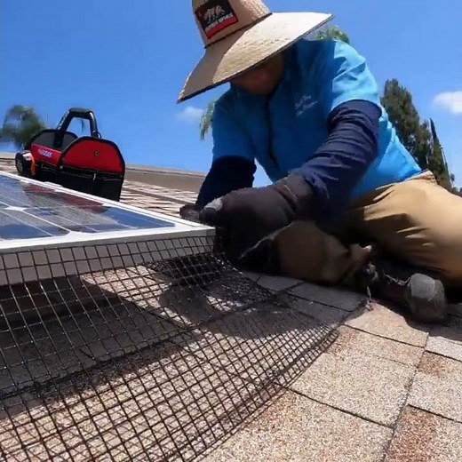 Solar panel bird proofing | solar panel bird proofing mesh bunnings | solar panel installers