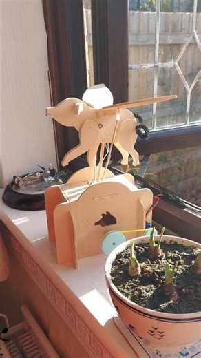 Solar Powered Flying Pig