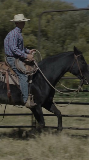 🐴🤠 Built for the Bond 🟩