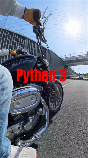 Harley- #harleydavidsonmotorcyclesマフラー 【Python 3】SportSter