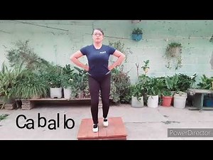 Pasos básico del huapango hidalguense