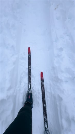 Kayla Flora on Instagram: "Attempt #2 of learning to cross country ski. I went back to Hatcher Pass, in the daylight this time, and did about a mile down the Gold Mint trail. Didn’t break anything, did fall a few times. I’d say the bad thing about this sport, is that it might make me prefer skiing over hiking. Jk. It’s a lot of fun!"