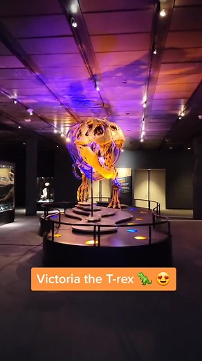 Victoria 🦖 😍 #trex #dinosaur #paleontology #houston #tx #science #museum #fyp #morethanawoman #htown