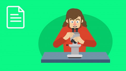 Lipide – Aufbau und chemische Grundlagen der Fette | sofatutor.com