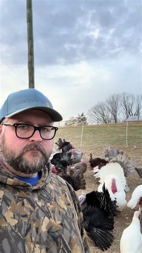 Hilarious Dad Jokes That Turkeys Can't Resist