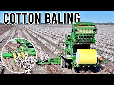 How Cotton Harvesting Works | Australian Farming | Vlog 286